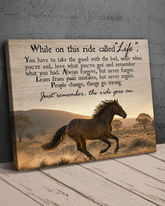 Australian Brumby Canvas - Wall Decor